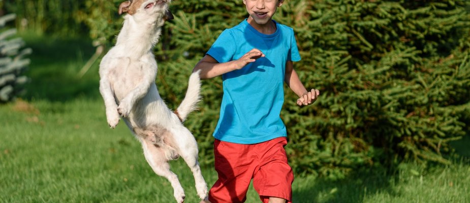 Por Que Ter um Pet Faz Toda a Diferença no Desenvolvimento Infantil? Descubra